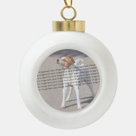 Dog Cat Bird Fab Amazonefoto Keramische Bal Ornament