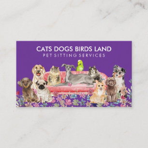 Dog Cat Bird Hotel Sofa Huisdier Zittend paarse Visitekaartje