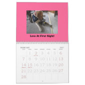 Dog & Cat Calendar Kalender (Feb 2027)