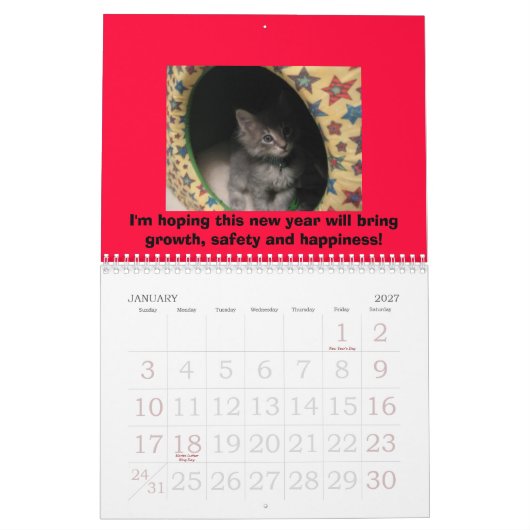 Dog & Cat Calendar Kalender (Jan 2027)