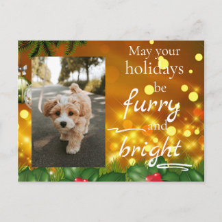 Dog Cat Pet Custom Photo Christmas Postcard Funny Feestdagenkaart