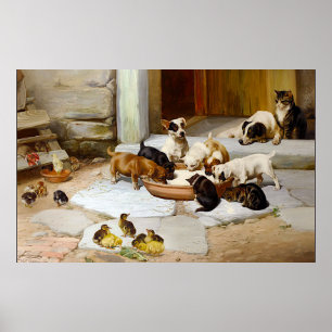 Dog Cat Puppy Kitten Keuken Poster