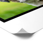 Dog collage - 4 foto's op maat poster (Hoek)