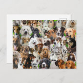 Dog Collage Briefkaart (Voorkant / Achterkant)