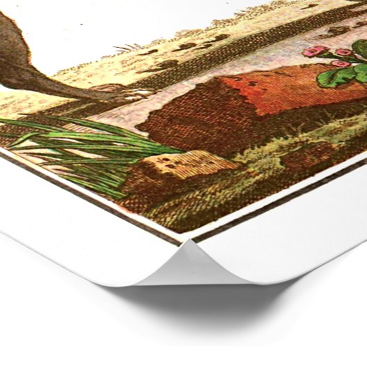  Dog Collage Poster (Hoek)