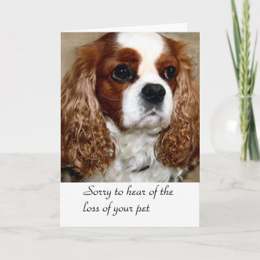 Dog Condolence Kaart (Voorkant)