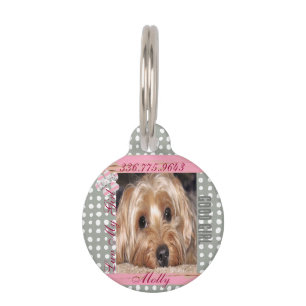 Dog Custom Photo Polka Dots Pet ID Tag Huisdierpenning