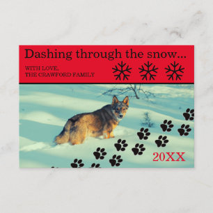 Dog Dashing Through the Snow - Carte de Noël