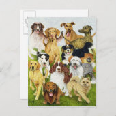 Dog Days Briefkaart (Voorkant / Achterkant)