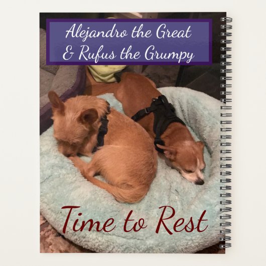 Dog Days Idea Planner (Achterkant)