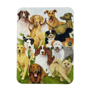 Dog Days Magneet