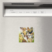 Dog Days Magneet (Insitu (Vaatwasser))