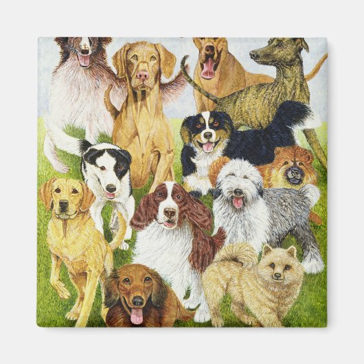 Dog Days Magneet (Voorkant)