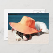 Dog Days of Summer in de Seashore Briefkaart (Voorkant / Achterkant)