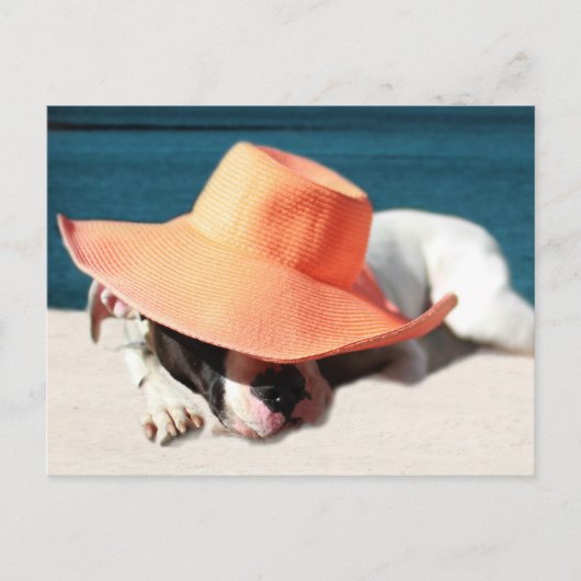 Dog Days of Summer in de Seashore Briefkaart (Voorkant)