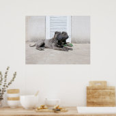 Dog Days of Summer.... Poster (Keuken)