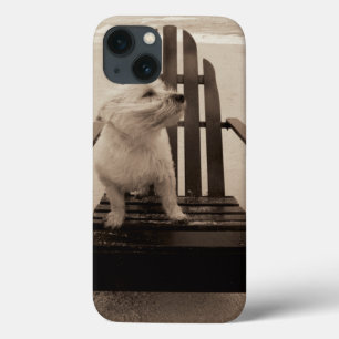 Dog die de strand aanpast iPhone 13 hoesje
