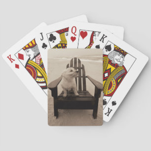 Dog die de strand aanpast pokerkaarten