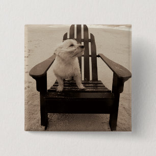 Dog die de strand aanpast vierkante button 5,1 cm