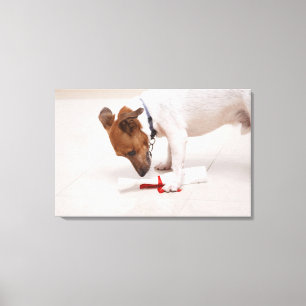 Dog die een diploma uitzoekt canvas afdruk