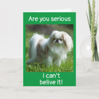 DOG DIT *FÉLICITATIONS SUR VOTRE *NOUVELLE CARTE D