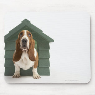 Dog door doghouse muismat