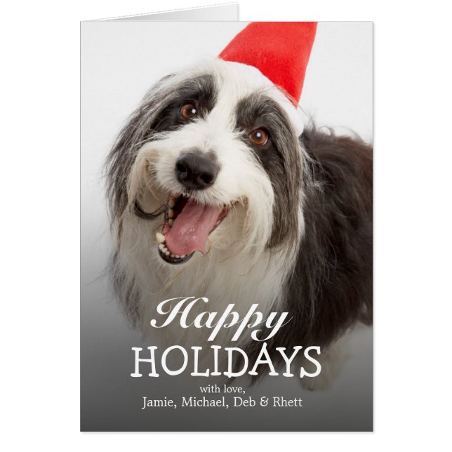 Dog draagt Santa hat (Voorkant)