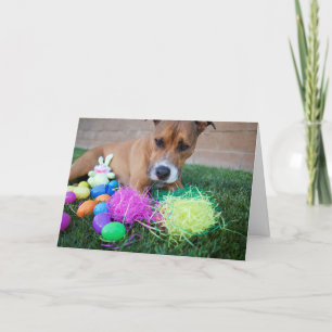 Dog Easter Kaart