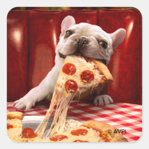 Dog Eating Pizza Slice Vierkante Sticker