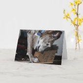 Dog Eating Vaderdag Gift (de hond Ate it) Kaart (Gele Bloem)