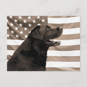 Dog en Amerikaanse vlag Briefkaart