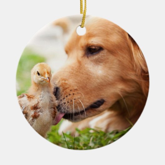 Dog en Chick Keramisch Ornament (Voorkant)