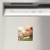 Dog en Chick Magneet (Insitu (Vaatwasser))