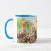 Dog en Chick Mok (Links)