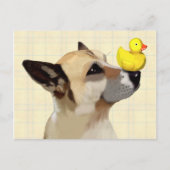 Dog en Duck Briefkaart (Voorkant)