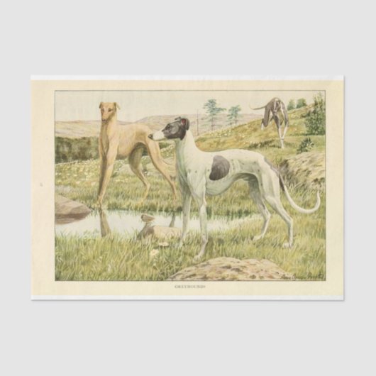  Dog Ephemera Decoupage Grey Hounds Tissuepapier (Voorkant)