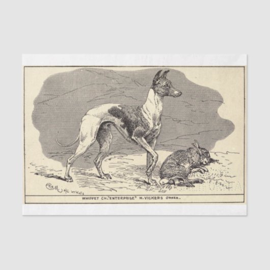 Dog Ephemera Decoupage Whippet Tissuepapier (Voorkant)