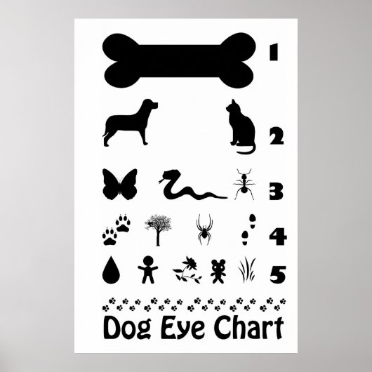 Dog Eye Chart Poster (Devant)