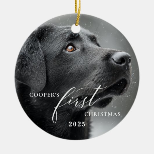 Dog First Christmas Script Ornament (Voorkant)
