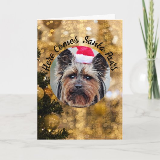 Dog Foto personaliseert naam kerstfeestdag kaart (Voorkant)