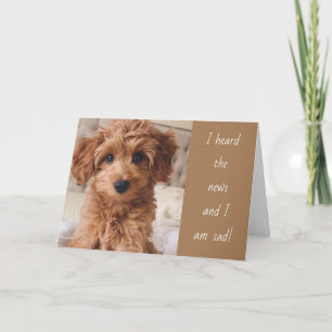 DOG GAAT ERNSTIG OVER JE VERPLAATSEN! KAART