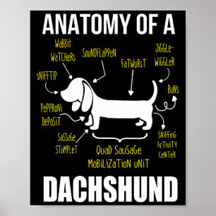 Dog Gift   Anatomie van Dachshund Poster