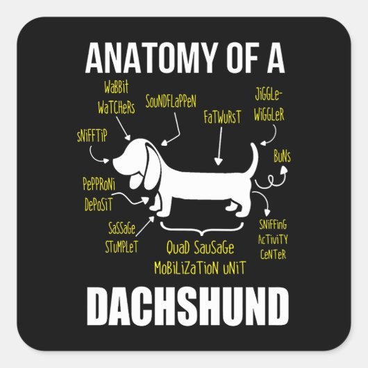 Dog Gift | Anatomie van Dachshund Vierkante Sticker (Voorkant)
