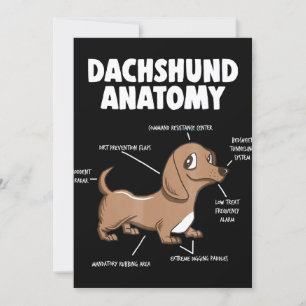 Dog Gift Anatomy Dachshund Funny Weiner Kaart