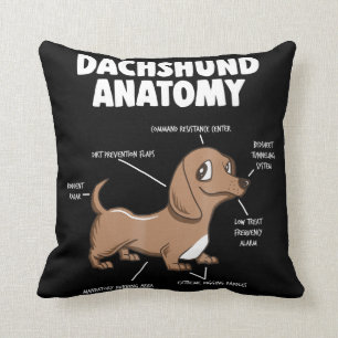 Dog Gift   Anatomy Dachshund Funny Weiner Kussen