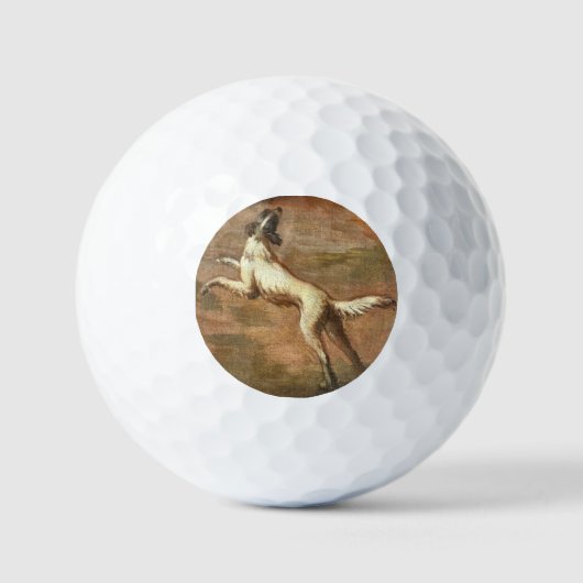 Dog Golfballen (Voorkant)