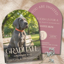 Dog Graduation Invitation Pet Photo in Rose Gold