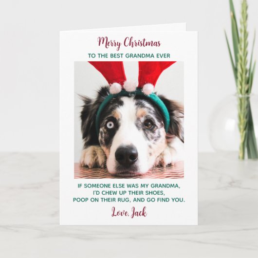 Dog Grandma Funny Custom Pet Photo Merry Kerstry Feestdagen Kaart (Voorkant)