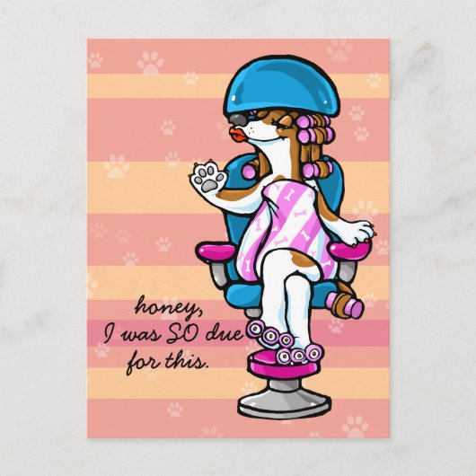 Dog Groomer Afspraakherinnering Briefkaart (Voorkant)