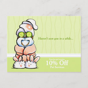 Dog Groomer Spa Shih Tzu Cucumber Coupon Mailer Briefkaart